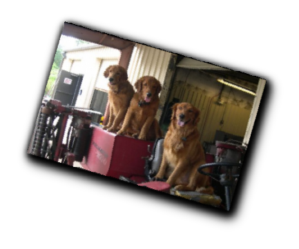 3 best friends